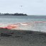 Autoridad Marítima activa plan de contingencia ante emergencia en muelle de carga Cabo Froward