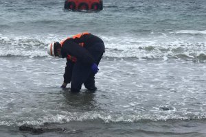 Autoridad Marítima activa plan de contingencia ante emergencia en muelle de carga Cabo Froward Autoridad Marítima activa plan de contingencia ante emergencia en muelle de carga Cabo Froward