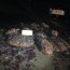 Armada incauta 475 kilos de moluscos en área de reserva marina