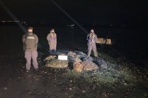 Armada incauta 475 kilos de moluscos en área de reserva marina Armada incauta 475 kilos de moluscos en área de reserva marina