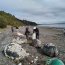 Personal naval participó en la limpieza de playa en Isla Lemuy
