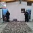 En patrullaje programado Policía Marítima de Quellón incautó más de 55 kilos de locos