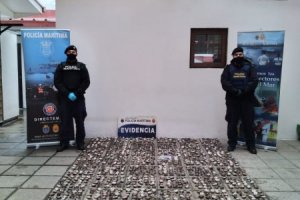 En patrullaje programado Policía Marítima de Quellón incautó más de 55 kilos de locos En patrullaje programado Policía Marítima de Quellón incautó más de 55 kilos de locos