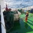 Buque Cabo de Hornos finaliza crucero de investigación con personal del Instituto de Fomento Pesquero en el sur