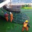 Buque Cabo de Hornos finaliza crucero de investigación con personal del Instituto de Fomento Pesquero en el sur