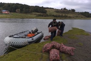 Autoridad Marítima de Quemchi incautó 460 kilos de Cholga Autoridad Marítima de Quemchi incautó 460 kilos de Cholga