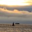 Submarino Clase Scorpene efectúa operaciones en región de Magallanes