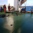 Buque Cabo de Hornos finaliza crucero de investigación con personal del Instituto de Fomento Pesquero en el sur