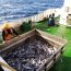 Buque Cabo de Hornos finaliza crucero de investigación con personal del Instituto de Fomento Pesquero en el sur
