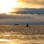 Submarino Clase Scorpene efectúa operaciones en región de Magallanes