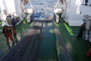 Buque "Cabo de Hornos" finaliza en el sur crucero de investigación con personal del Instituto de Fomento Pesquero Buque "Cabo de Hornos" finaliza en el sur crucero de investigación con personal del Instituto de Fomento Pesquero