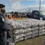 Autoridad Marítima de Quellón detectó más de 20 mil kilos de almeja con marea roja