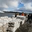 Autoridad Marítima de Quellón detectó más de 20 mil kilos de almeja con marea roja
