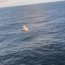 Armada realizó operativo de rescate en las cercanías de Mehuín