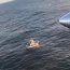 Armada realizó operativo de rescate en las cercanías de Mehuín