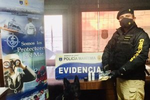 Binomio canino incautó marihuana en cordón sanitario de Chacao Binomio canino incautó marihuana en cordón sanitario de Chacao