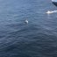 Armada realizó operativo de rescate en las cercanías de Mehuín