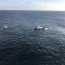 Armada realizó operativo de rescate en las cercanías de Mehuín