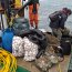  Armada y Sernapesca realizaron patrullajes de fiscalización pesquera incautando 81 kilos de almeja  