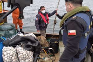 Armada y Sernapesca realizaron patrullajes de fiscalización pesquera incautando 81 kilos de almeja Armada y Sernapesca realizaron patrullajes de fiscalización pesquera incautando 81 kilos de almeja