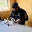 Binomios caninos realizaron incautación de marihuana en cordón sanitario de Chacao