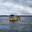  Autoridad Marítima incautó 175 kilos de recurso Navajuela en Chiloé  