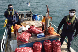 Autoridad Marítima incautó 175 kilos de recurso navajuela en Chiloé Autoridad Marítima incautó 175 kilos de recurso navajuela en Chiloé