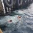  Nadadores de rescate realizan entrenamiento en Puerto Williams  