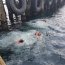Nadadores de rescate realizan entrenamiento en Puerto Williams