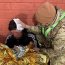 Infantes de Marina asistieron a persona herida en Punta Arenas