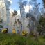 Armada ayuda a combatir incendios forestales en Rapa Nui