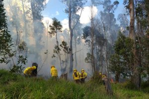 Armada ayuda a combatir incendios forestales en Rapa Nui Armada ayuda a combatir incendios forestales en Rapa Nui