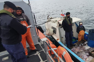 Autoridad Marítima incautó en área del golfo de Ancud 400 kilos de recurso raya Autoridad Marítima incautó en área del golfo de Ancud 400 kilos de recurso raya