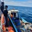 Autoridad Marítima incautó en área del golfo de Ancud 400 kilos de recurso raya