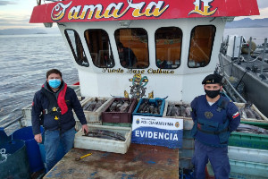 En fiscalizaciones pesqueras Armada y SERNAPESCA incautaron más de tres y media toneladas de recursos del mar En fiscalizaciones pesqueras Armada y SERNAPESCA incautaron más de tres y media toneladas de recursos del mar