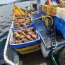 En fiscalizaciones pesqueras Armada y SERNAPESCA incautaron más de tres y media toneladas de recursos del mar