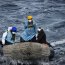 Evacuación médica de tripulante pesquero en Distrito Naval Beagle