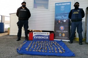 Autoridad Marítima de Quemchi incautó diversos recursos del mar Autoridad Marítima de Quemchi incautó diversos recursos del mar