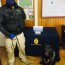 Binomio canino detectó marihuana en cordón sanitario de Chacao