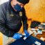 Binomio canino detectó marihuana en cordón sanitario de Chacao