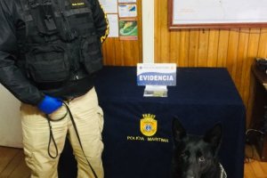Binomio canino detectó marihuana en cordón sanitario de Chacao Binomio canino detectó marihuana en cordón sanitario de Chacao