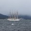 Unidades del Distrito Naval Beagle efectuaron escolta de la Esmeralda durante navegación por Canal Beagle