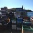 Patrullaje conjunto entre Personal Naval y Sernapesca permitió incautar 3,2 toneladas de erizo en área de Aysén
