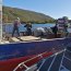 Patrullaje conjunto entre Personal Naval y Sernapesca permitió incautar 3,2 toneladas de erizo en área de Aysén