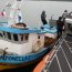 En área de manejo de Ancud se detecta hurto de 100 kilos de erizo