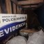 Armada realiza procedimiento de detención por hurto de ganado y pesca de recurso en veda
