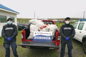 Armada realiza procedimiento de detención por hurto de ganado y pesca de recurso en veda