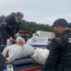 Policía Marítima y Sernapesca realizan decomiso de centolla en Bahía Mansa