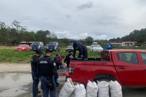 Policía Marítima y Sernapesca realizan decomiso de centolla en Bahía Mansa