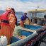  Lancha de Servicios Generales “Puerto Montt” fiscalizó área marina protegida  